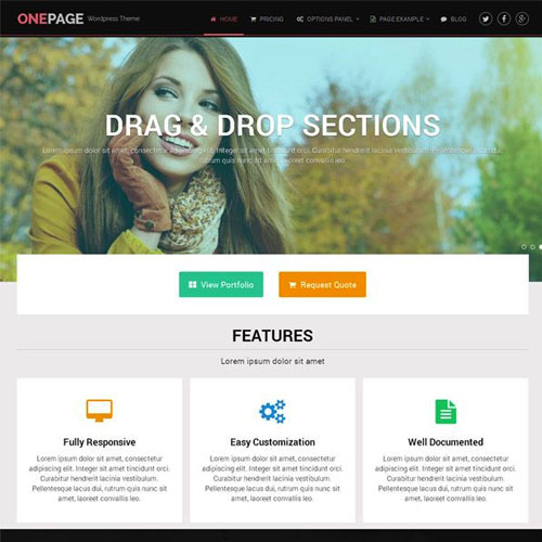 MyThemeShop-OnePage-WordPress-Theme 13