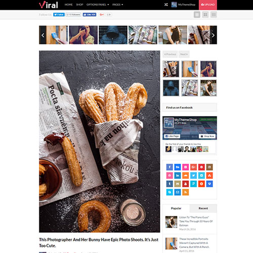 MyThemeShop-Viral-WordPress-Theme 19